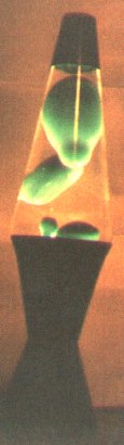 lavae