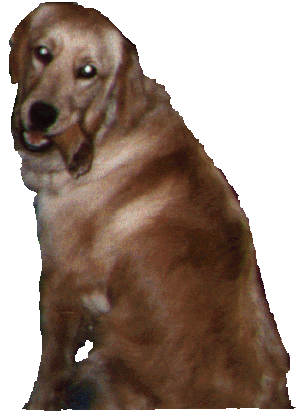 Pic of Trudy