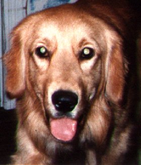 Pic of Trudy