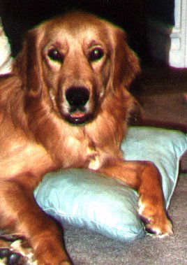 Pic of Trudy