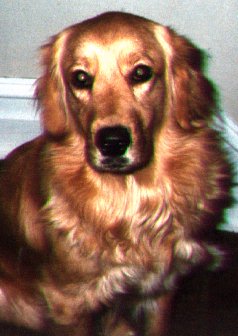 Pic of Trudy
